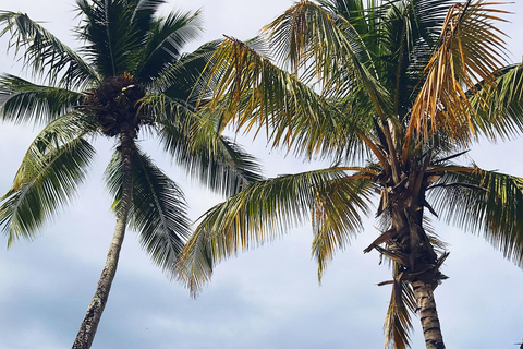 St. Maarten: Horseback Ride & Swim in the Caribbean