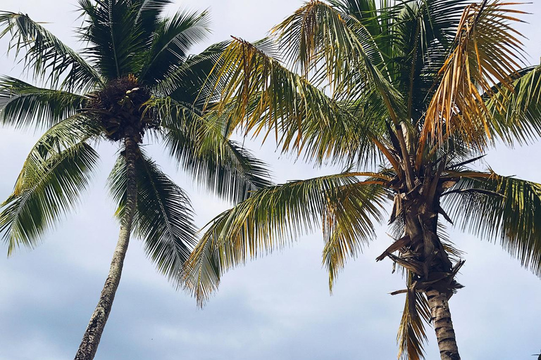 St. Maarten: Horseback Ride & Swim in the Caribbean