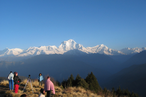 Best of Nepal Tour & Ghorepani Poonhill Trek Standard Option