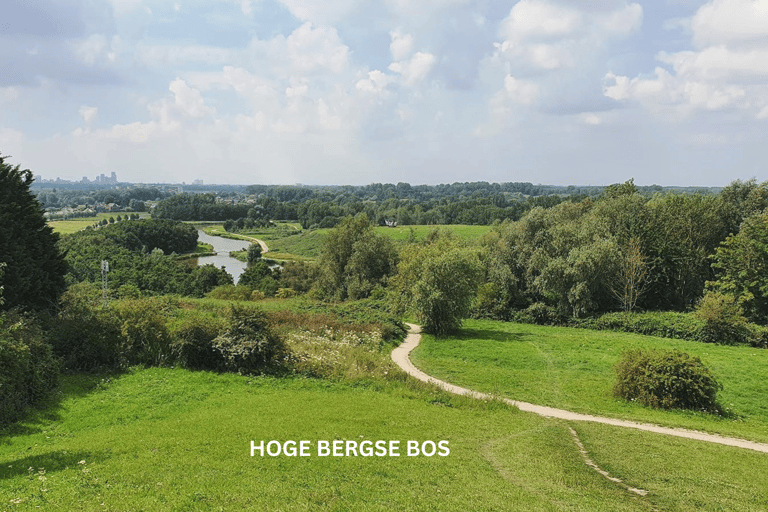 Rotterdam countryside on the wheels - bike tour around city