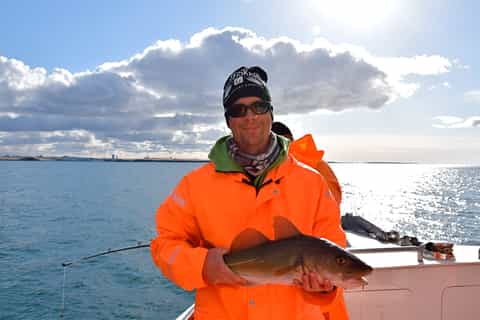 Icelandic Sea Fishing from Reykjavik