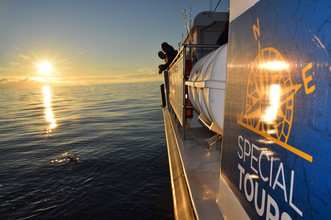 Icelandic Mer Pêche à partir de ReykjavikPêche en mer islandaise de Reykjavik