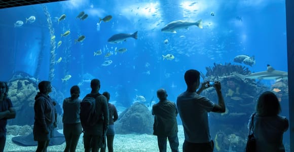 Lisbon City Audio Guide and Oceanarium Entry Ticket