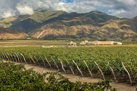 Recorrido de 4 días por Salta Cafayate y Humahuaca