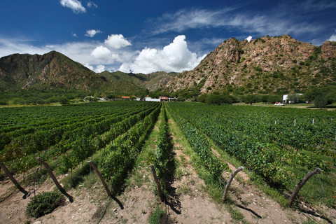 Recorrido de 4 días por Salta Cafayate y Humahuaca