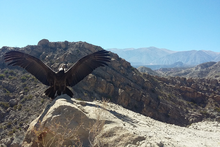 4-Day Tour of Salta Cafayate and Humahuaca