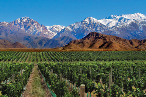 4-dagse dagtrip naar Mendoza en de Andes