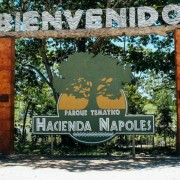 De Medellín: Excursão Parque Temático Hacienda Nápoles