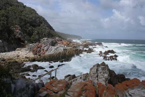 4-Day Garden Route Experience