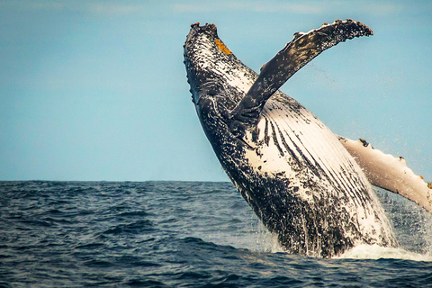 4-Day Garden Route Experience Shared Dormitory Accommodation