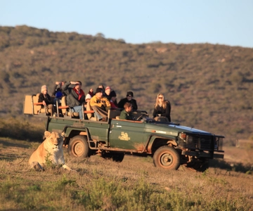From Cape Town: 5-Day Garden Route & Addo Elephant Park Tour