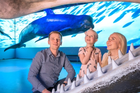 Reykjavik: walvissen spotten Whales of Iceland-expositie