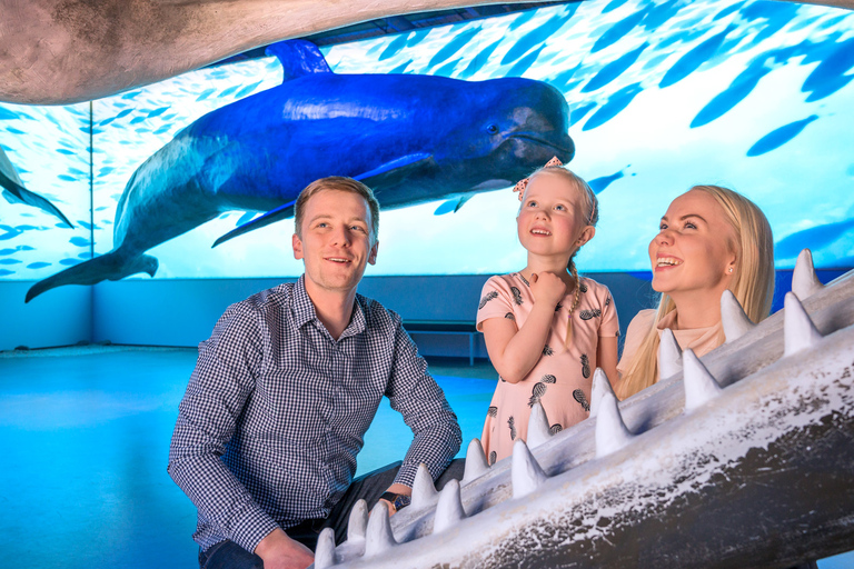 Reykjavik: Valskådning och utställningen Whales of Iceland