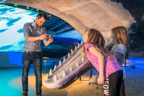 Reykjavik: Valskådning och utställningen Whales of Iceland