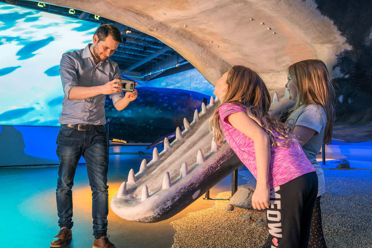 Reykjavík: avvistamento balene e mostra Whales of Iceland