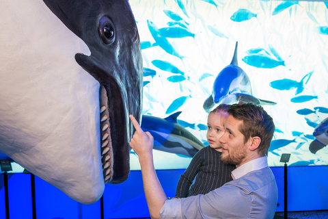 Reykjavik: Valskådning och utställningen Whales of Iceland