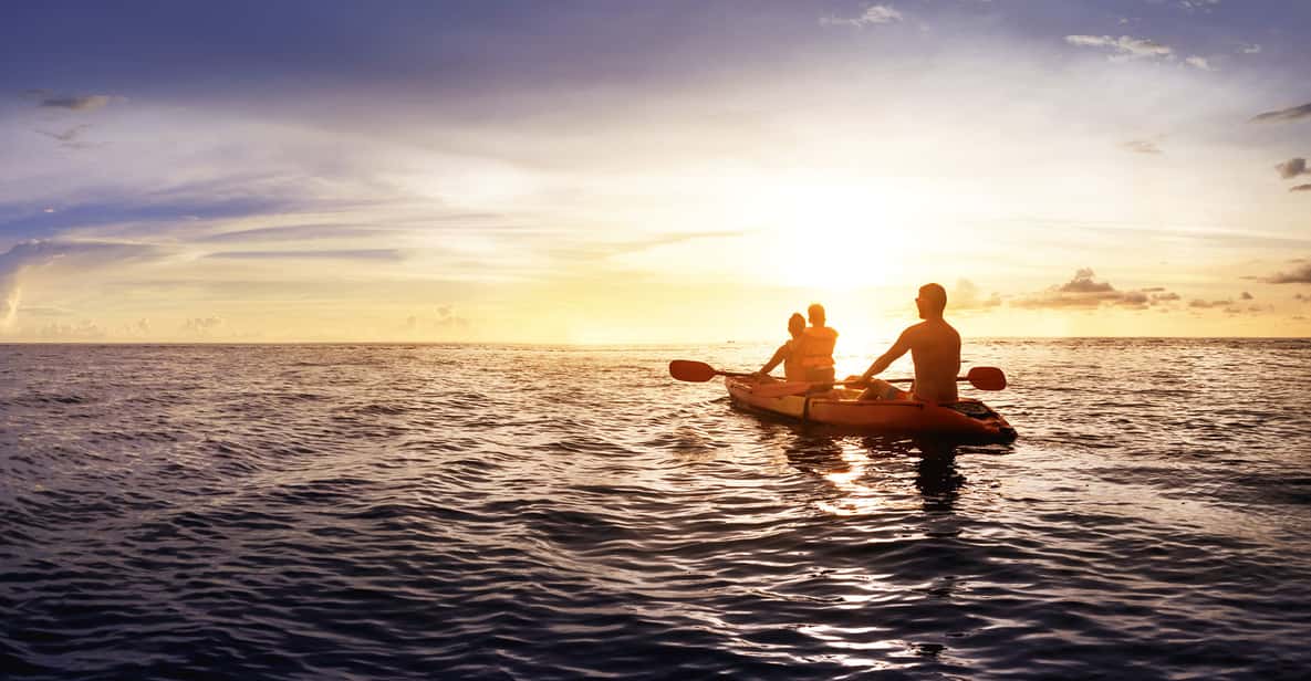 Marbella: Kayak Tour