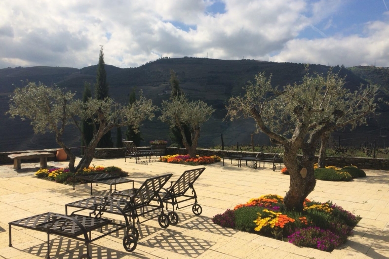 Private Tour: Douro Valley Wine and Food from Oporto