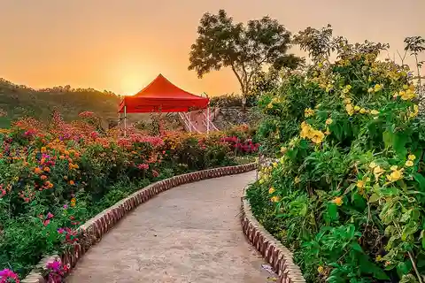 From Delhi: 4-Day Valley of Flowers Trek with Transfers