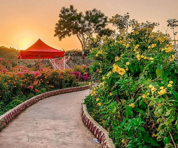 From Delhi: 4-Day Valley of Flowers Trek with Transfers