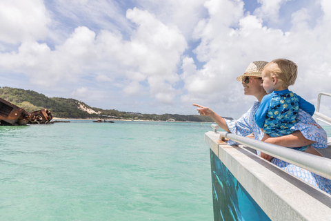 Isla Moreton: Crucero de Descubrimiento Marino y Alimentación de DelfinesBrisbane: Crucero por la Isla Moreton y alimentación de delfines