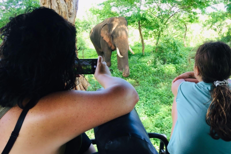 Z Negombo: Safari w Parku Narodowym Minneriya all inclusive
