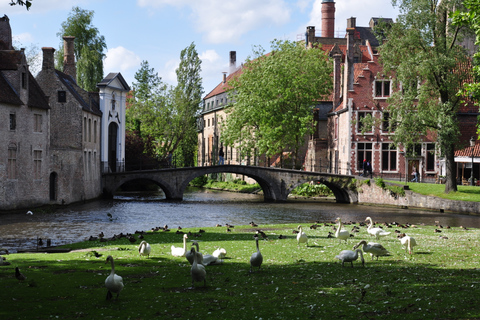 Desde Ámsterdam: excursión guiada de 12 h a Brujas