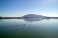 Entrada al Valle Volcánico de Waimangu y crucero por el Lago Rotomahana - Hizvo