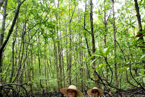 ZANZIBAR: Prison Island visit & Uzi Mangrove Kayak Tour PRIVATE TOUR INCLUDES HOTEL PICKUP AND DROP OFF