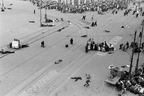 Amsterdam: Anna Frank and World War II History Walking Tour