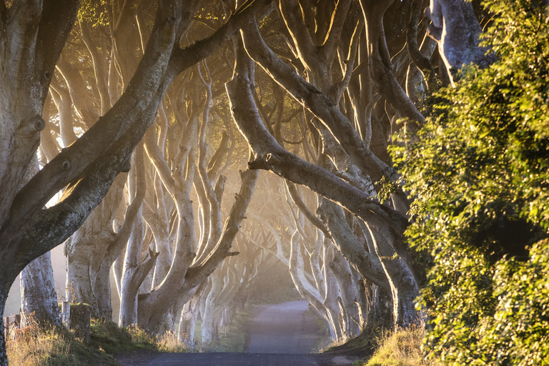 Desde Belfast: tour de la Calzada del Gigante y Juego de TronosTour de la Calzada del Gigante, whisky Bushmills y Juego de Tronos