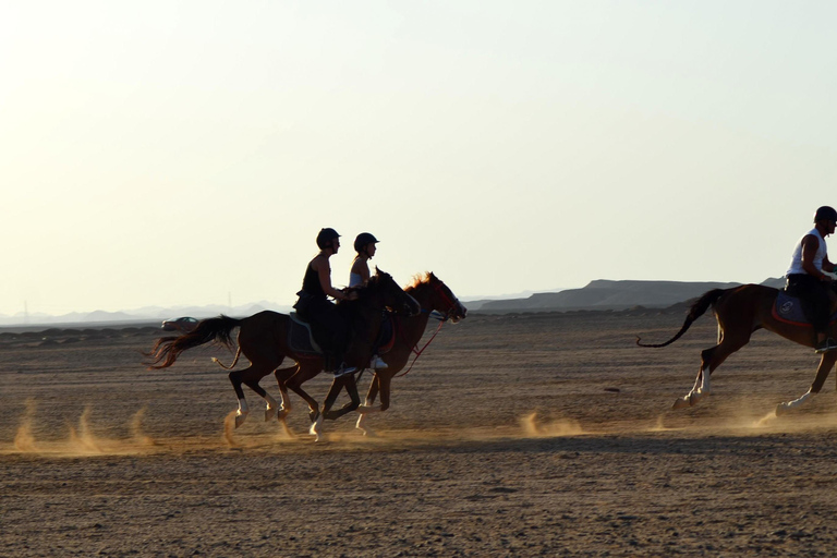 Marsa Alam: Passeio a cavalo pelo mar e pelo deserto