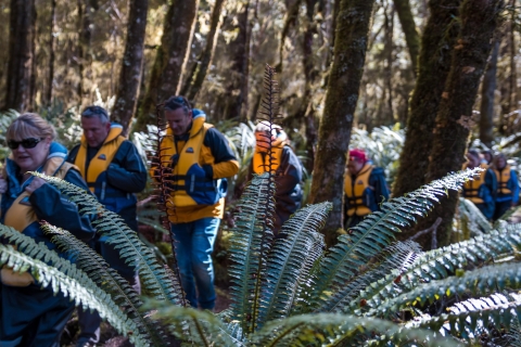 Fiordland: Jet Boat & Nature Walk Experience from Te Anau Fiordland Jet Boat & Nature Walk Experience from Te Anau