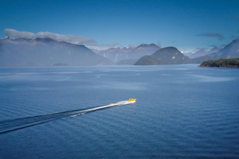 Ab Te Anau: Fiordland - Jetboot & Naturspaziergang