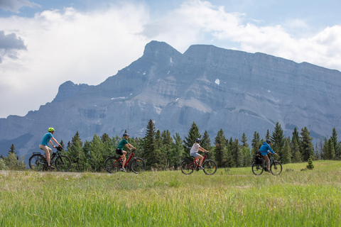 Banff: Mountain Lakeside Guided E-Bike Tour