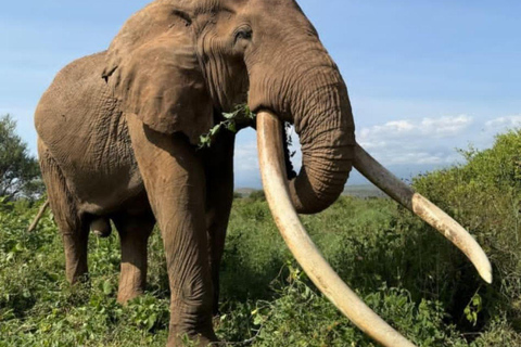 3-Day Amboseli National Park Safari Tour