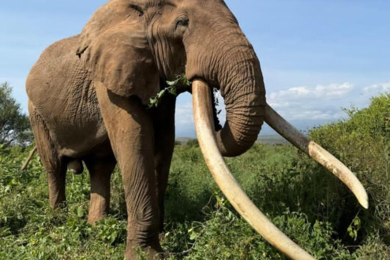 3-Day Amboseli National Park Safari Tour