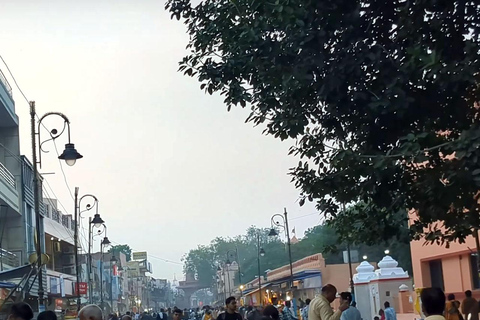 Excursion d&#039;une journée à Mathura et aux temples de Vrindavan