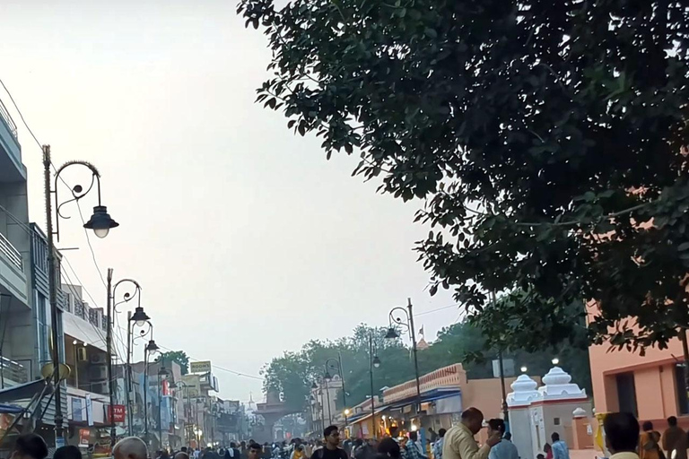 Escursione di un giorno al tempio di Mathura Vrindavan