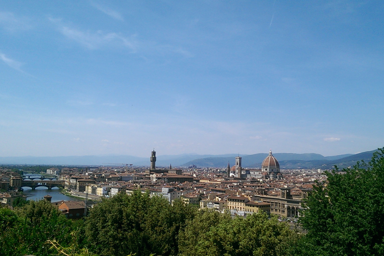 Florence: 4-Hour Private Tour Including Uffizi &amp; Accademia