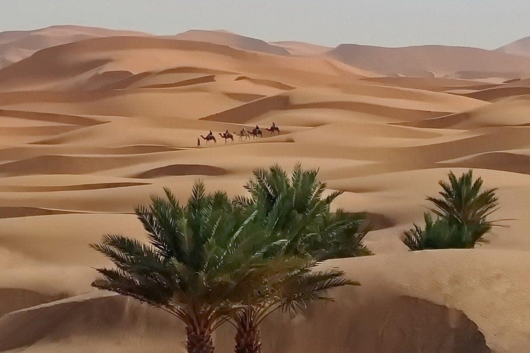 Entdecke die Sahara: Star Wars-Landschaften und Oasen-Rückzugsorte