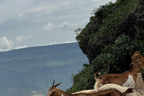 From Addis: Blue Nile Gorge, Baboons & Waterfalls