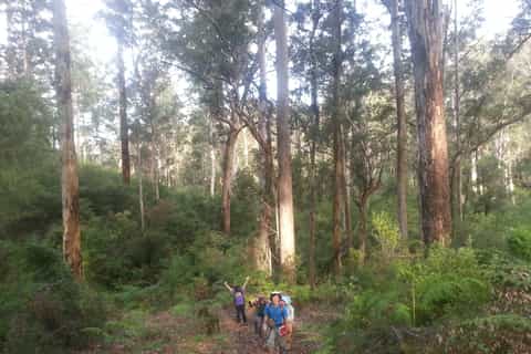 albany guided granite skywalk in porongurup national park