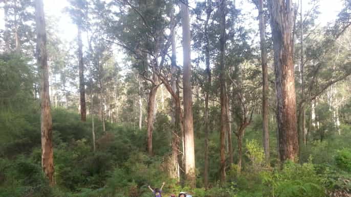 albany guided granite skywalk in porongurup national park
