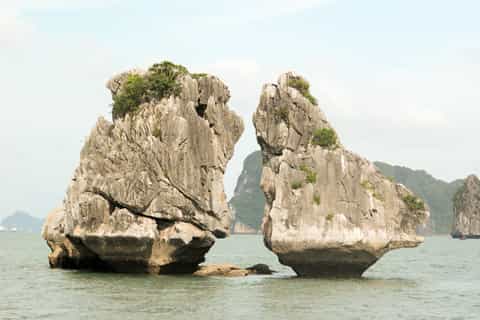 Halong Bay: 2-Day 1-Night 3-Star Rosa Cruise