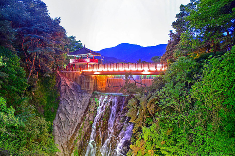 From Seoul: Scenic Lake Day Trip with Cable Car or Cruise Spring : Cable Car + Cherry Blossom Route