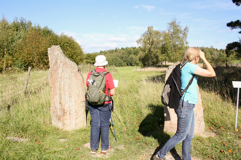 De Stockholm: visite d'une journée complète de la culture viking en petit groupe