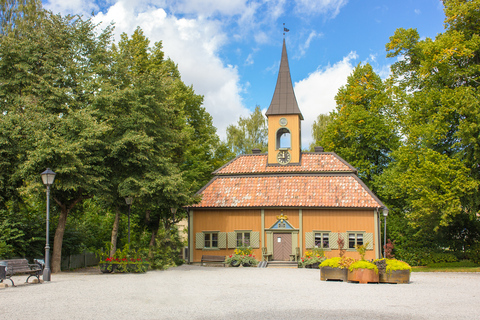 Da Stoccolma: Tour storico vichingo a Sigtuna e UppsalaTour per piccoli gruppi