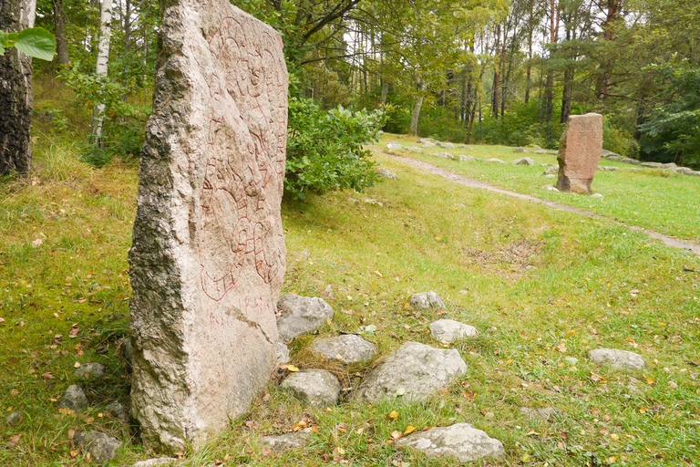 Van Stockholm: Vikingcultuurtour met hele dag door kleine groepen