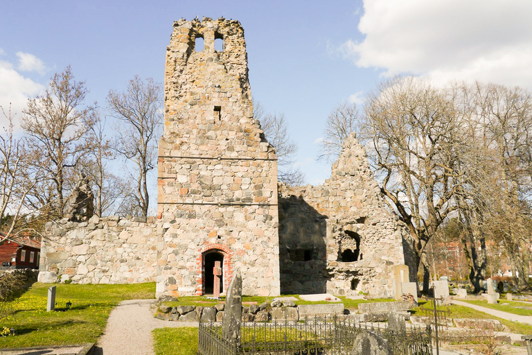 Da Stoccolma: Tour storico vichingo a Sigtuna e UppsalaTour per piccoli gruppi